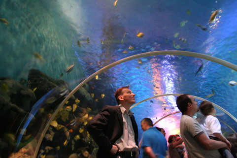National Sea Life Centre